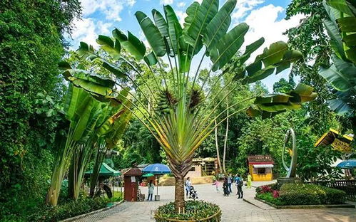 冬季 保命 守則發(fā)布,求別再讓我多喝熱水啦