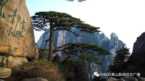 我市出臺(tái)景區(qū)有序開(kāi)放工作指南