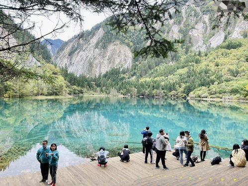 久違的仙境 九寨溝恢復(fù)全域開放與新路線發(fā)布