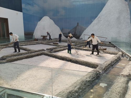 好客山東 百團(tuán)山東行——濱州無棣站活動(dòng)啟動(dòng)，園區(qū)管理服務(wù)協(xié)同助力